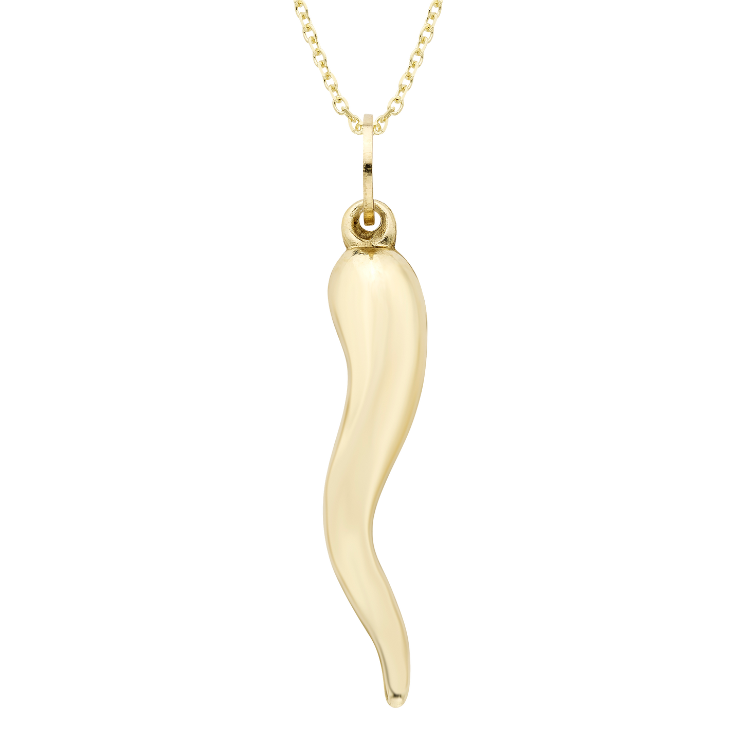 14k Gold Horn Charm Necklace